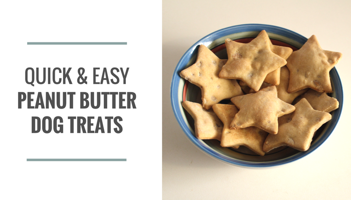 homemade dog treats no peanut butter