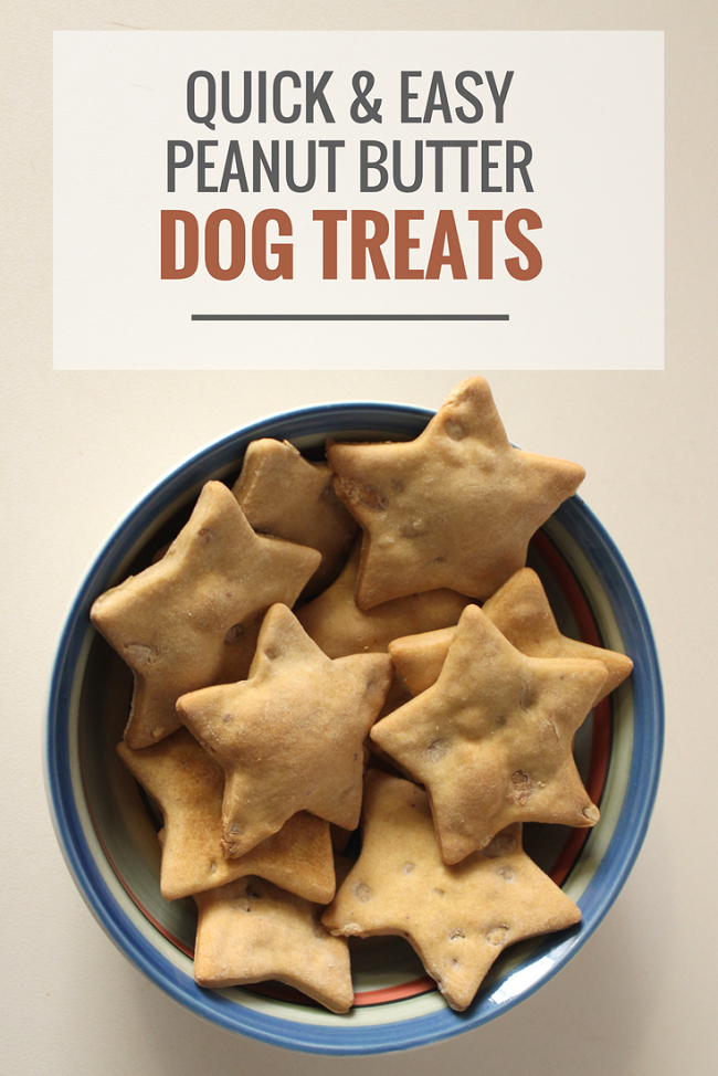 Simple Dog Treat Recipes - Quick & Easy Peanut Butter Treats by Puppy Leaks