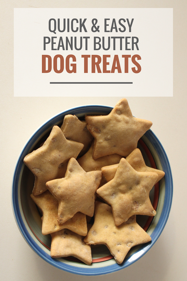 simple peanut butter dog treats