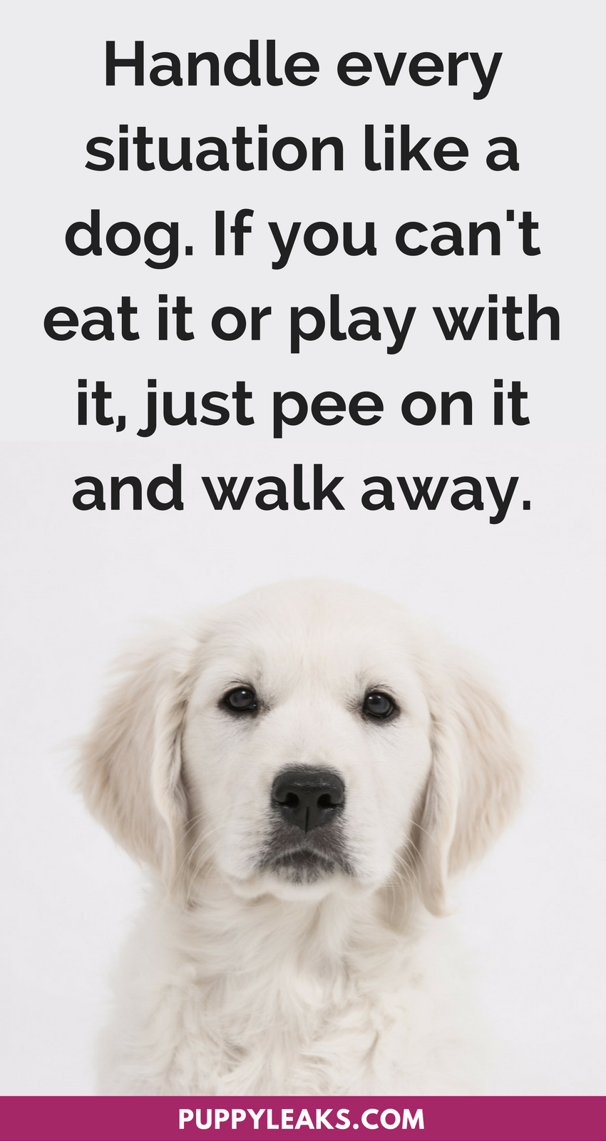 cute dog quote Quotes dog animal pets dogs funny cute animals pet short ...