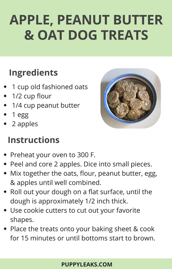 Quick Easy Apple Peanut Butter Oat Dog Treats Puppy Leaks quick-easy-apple-peanut-butter-oat-dog-treats-puppy-leaks