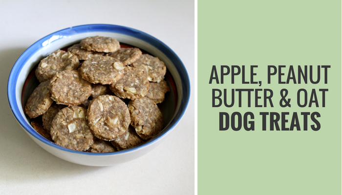 Apple, Peanut Butter & Oat Dog Treats