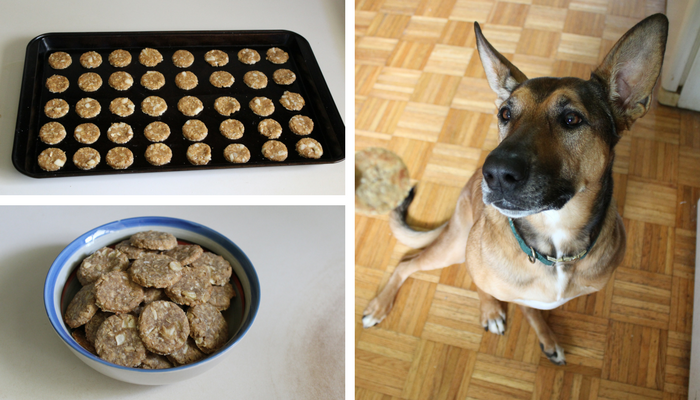 Apple Peanut Butter & Oat Dog Treat Recipe