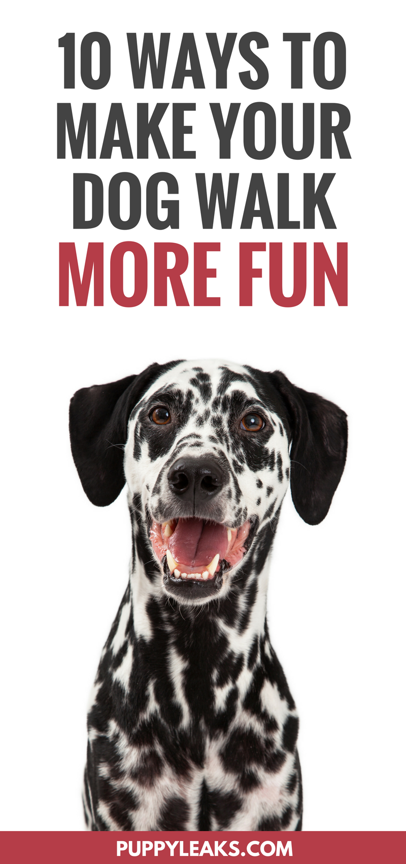 Are you looking for ways to keep yourself motivated to walk your dog everyday? Try adding in a little variety to make your dog walk more enjoyable and fun. Here's 10 ways to make your dog walk more fun. 10 Ways to Make Your Dog Walk More Fun