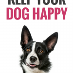 25 Easy Ways to Keep Your Dog Happy