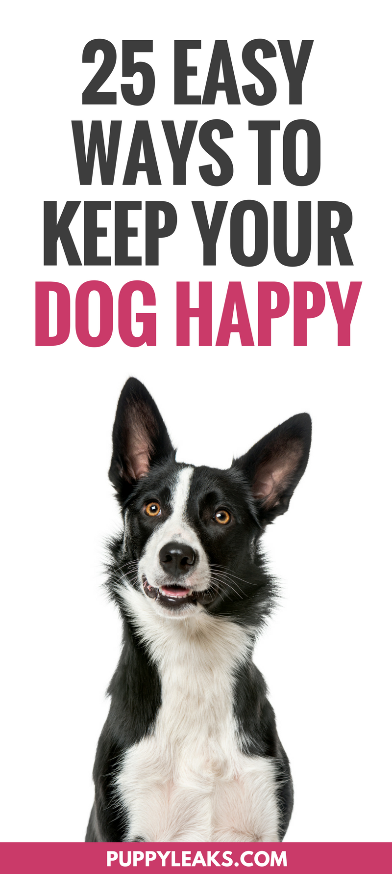 Looking for some simple ways to keep your dog happy? From letting your dog sniff around on your daily walk to making some DIY dog toys, here's 25 ways to make your dog happy. Fun indoor & outdoor games and activities to keep your dog happy, active, busy and entertained. Dog boredom buster ideas.