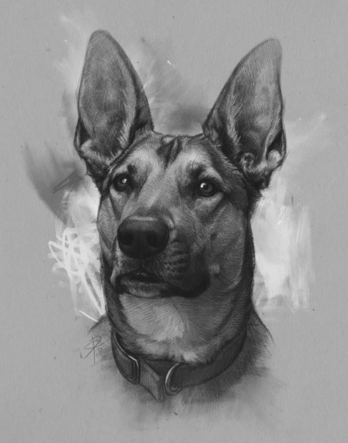 Custom Dog Portrait Review