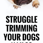 Struggle trimming your dogs nails? The benefits of using a nail dremel over clippers.