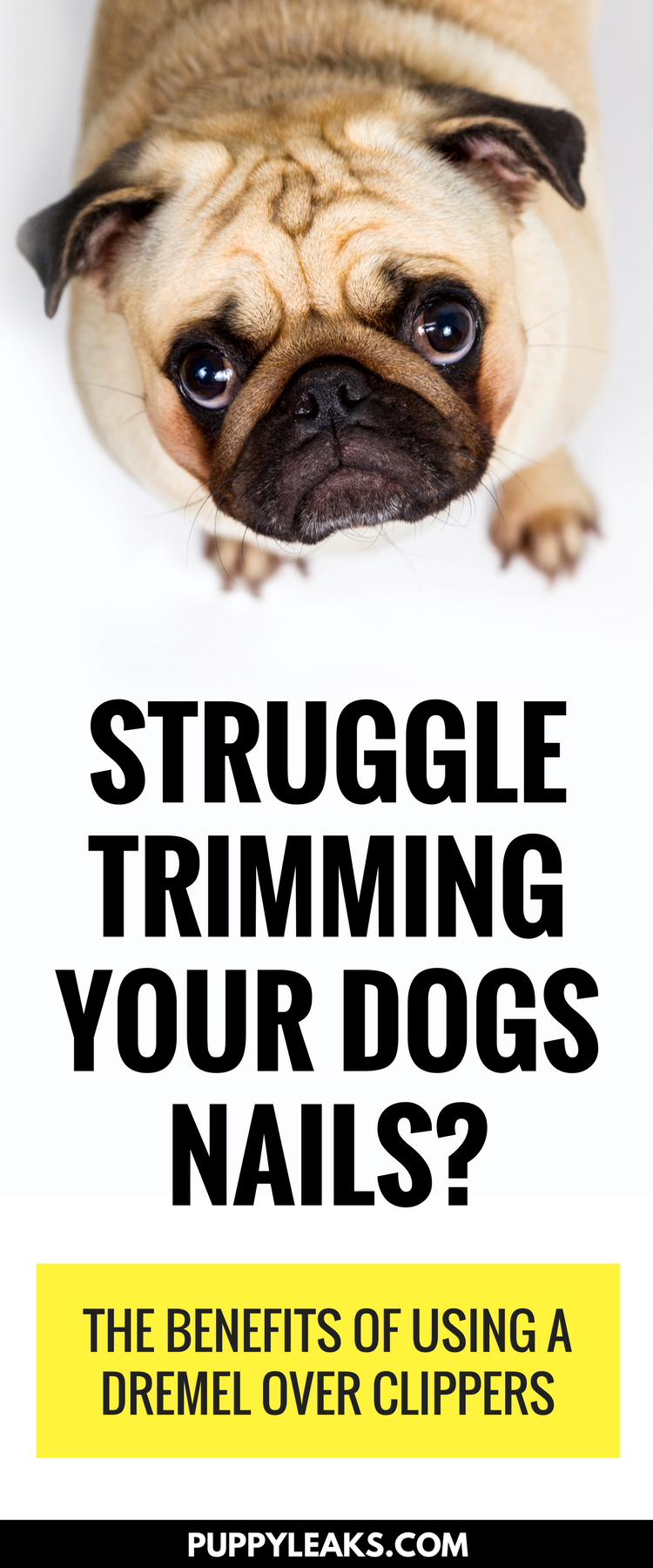 Struggle trimming your dogs nails? The benefits of using a nail dremel over nail clippers.