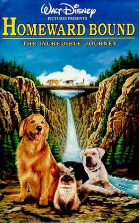 The 13 Best Dog Movies From the 90's - Puppy Leaks