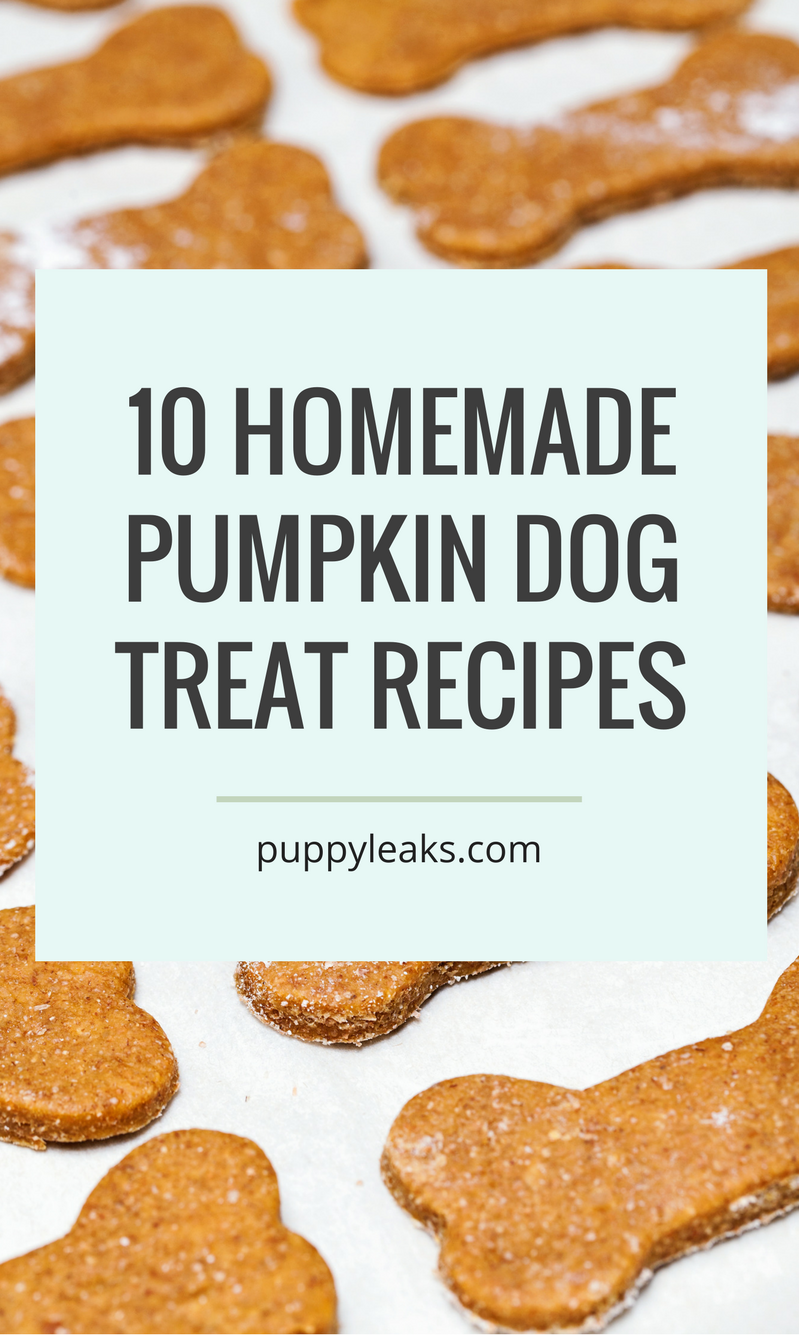 peanut butter pumpkin dog treat recipe