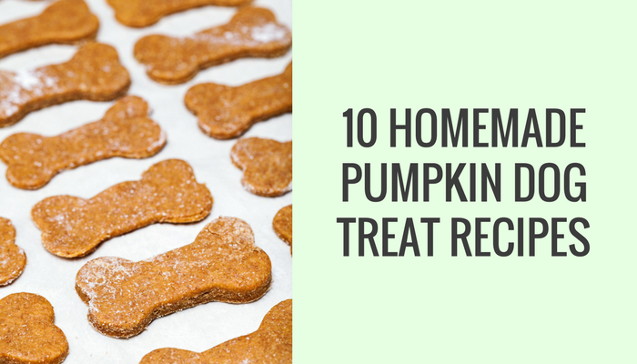 grain free dog treats recipe pumpkin