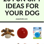 20 Fun Gift Ideas For Your Dog