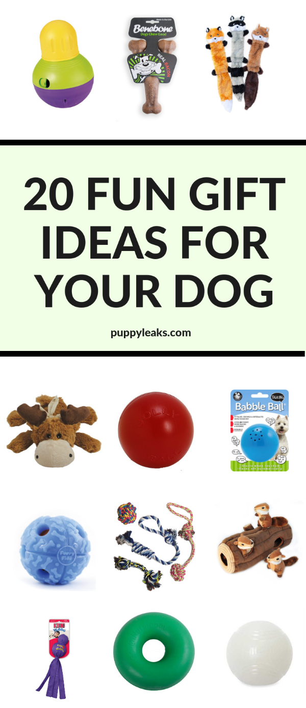 20 Fun Christmas Gift Ideas For Your Dog Puppy Leaks