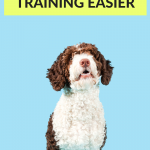 How to make dog training easier