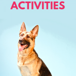 canine enrichment activities