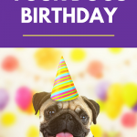 Celebrate dog birthday
