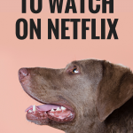 10 Dog Movies to Watch on Netflix