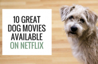 10 Great Dog Movies Available on Netflix