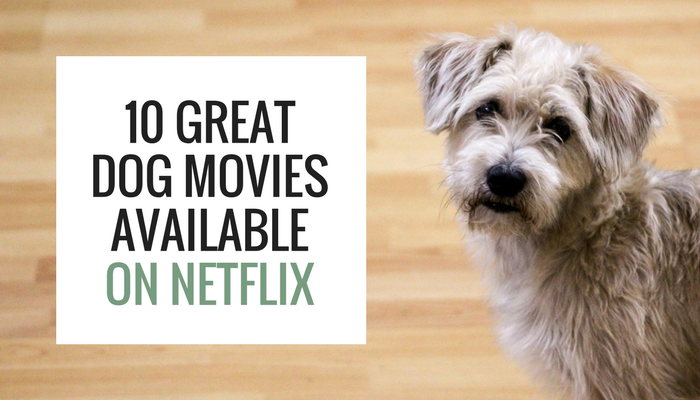 10 Great Dog Movies Available on 