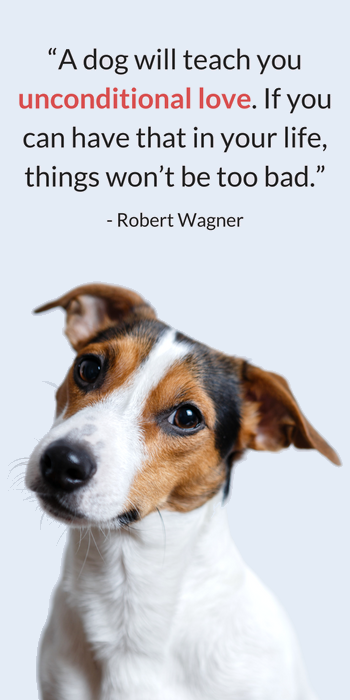 25 Sweet & Heartwarming Dog Quotes - Puppy Leaks