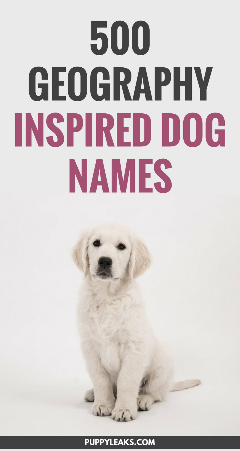 500 Inspired Names - Puppy Leaks