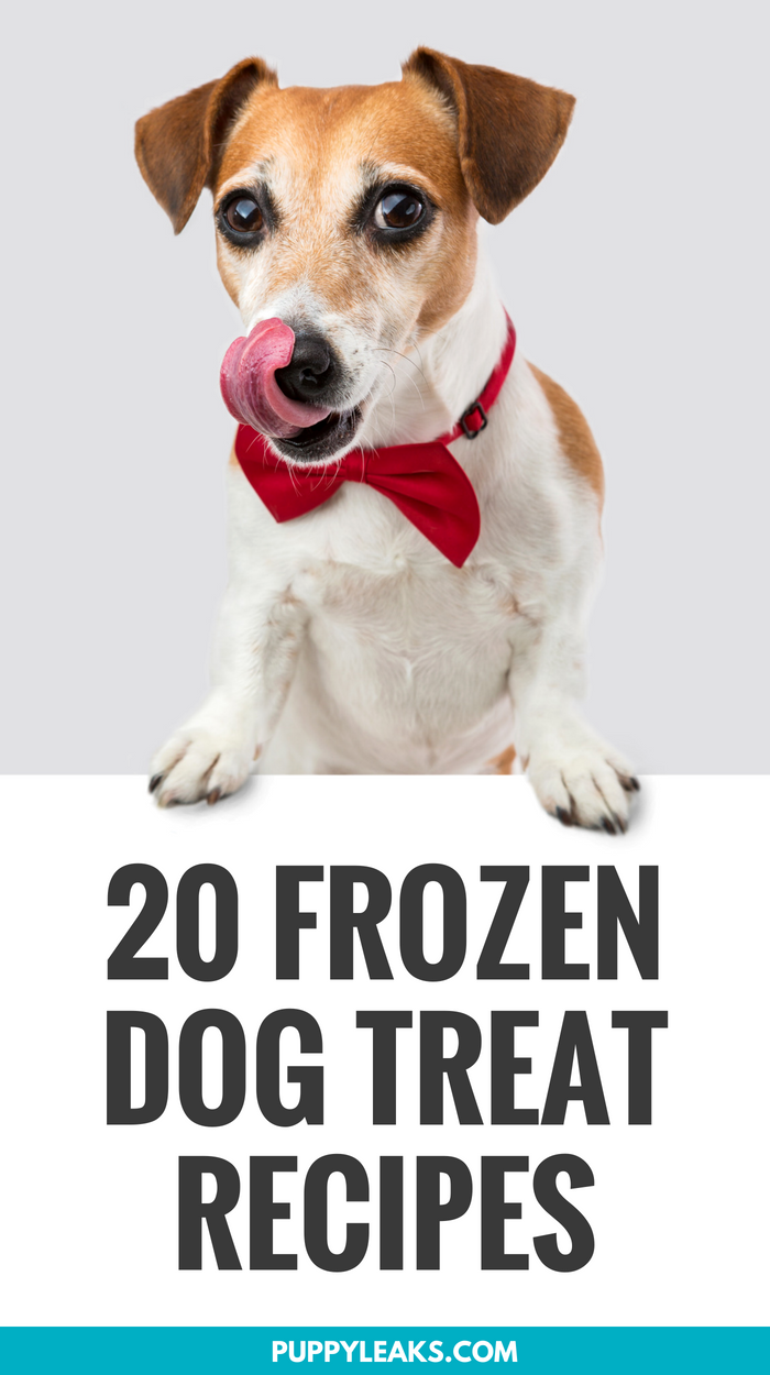 Looking for a simple way to help cool down your dog this summer and keep them busy? One of the easiest ways is to make them their very own frozen dog treats. There's plenty of dog friendly frozen treats to choose from, and I've put together a list of my favorites. Here's 20 homemade frozen dog treat recipes. #dogs #puppies #dogtreats #recipes
