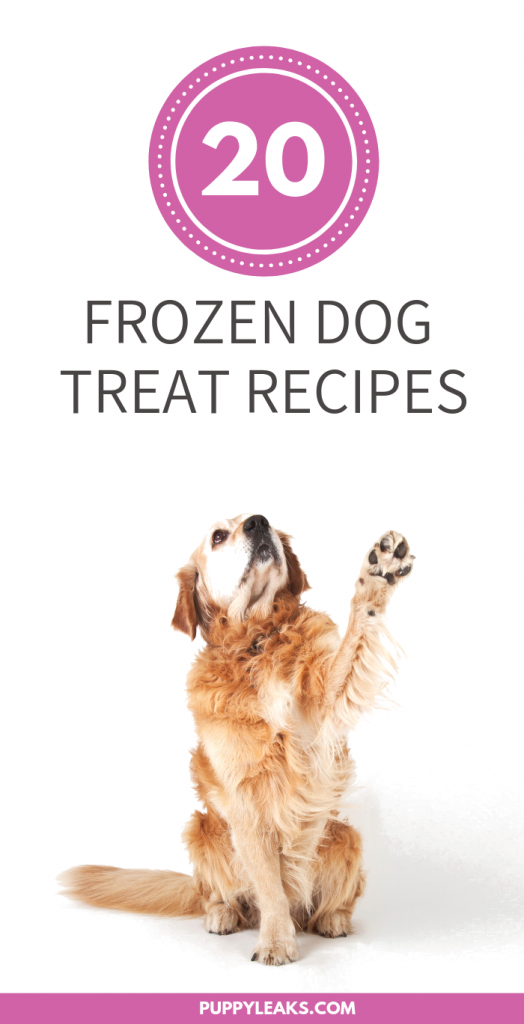 20 Frozen Dog Treat Recipes Puppy Leaks