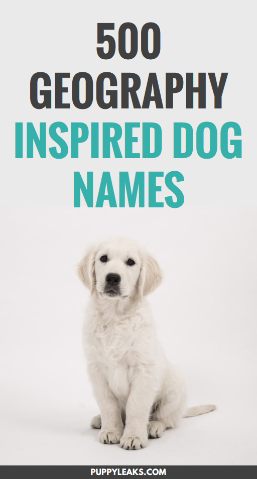 Having trouble coming up with a name for your new pet? One of my favorite ways to come up with new names is to start with a theme, and when it comes to geography there's a lot of cool names to choose from. From world capitals like Oslo to the Hari river, here's 500 geography inspired dog names. #dogs #puppies #names