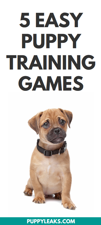 Puppy training games