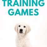 5 Fun & Easy Puppy Training Games