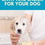 How to make bath time easier for your dog