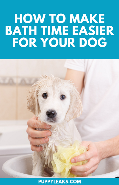 How to make bath time easier for your dog