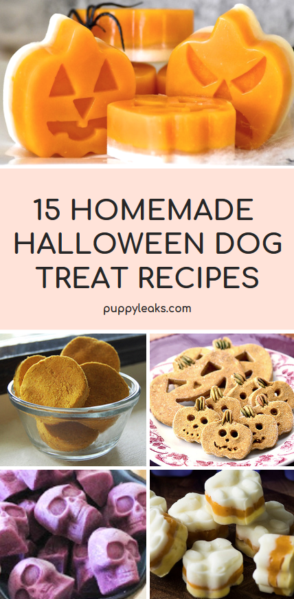 15 Halloween Dog Treat Recipes - Puppy 