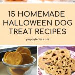 Halloween Dog Treat Recipes