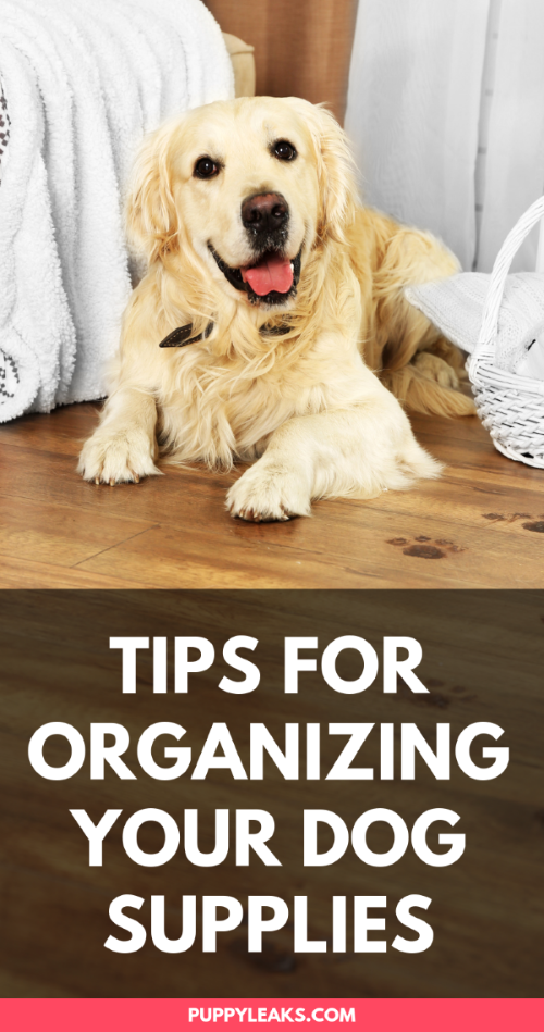 Tips for Organizing Your Dog Supplies