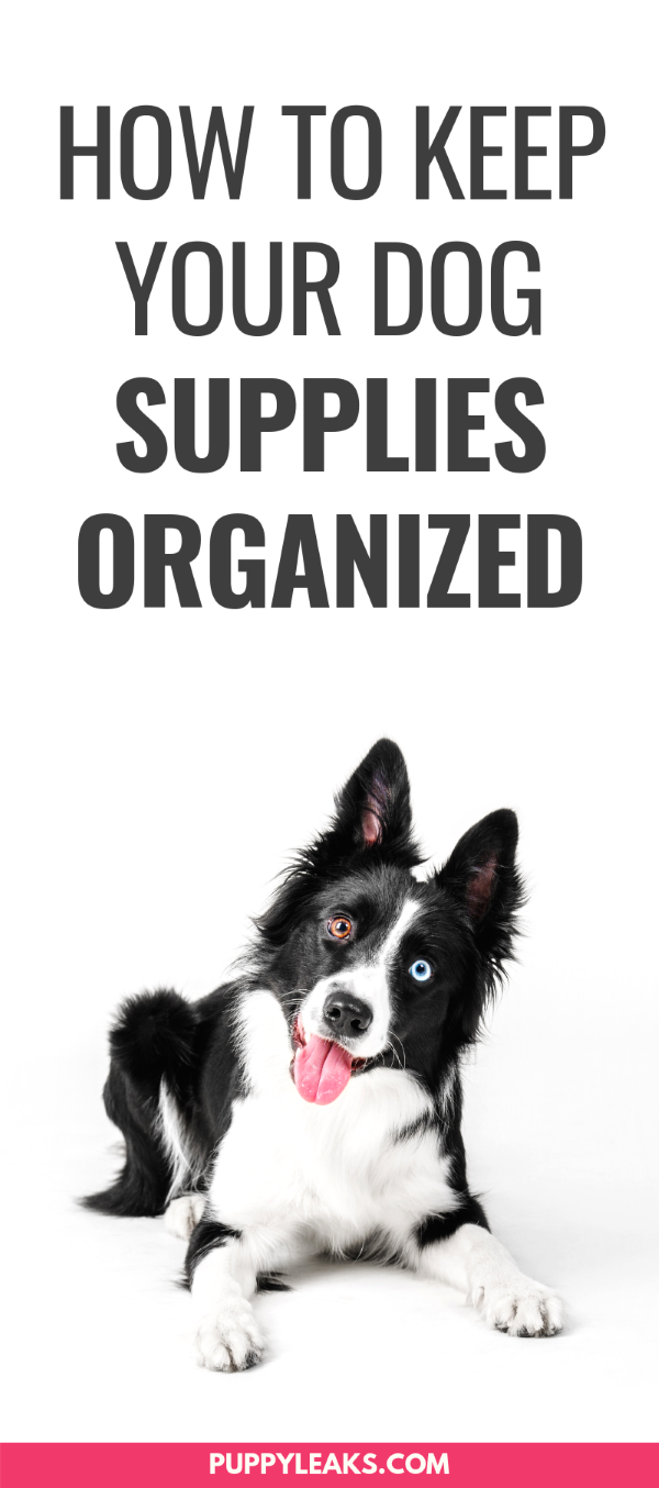 How to Keep Your Dog Supplies Organized