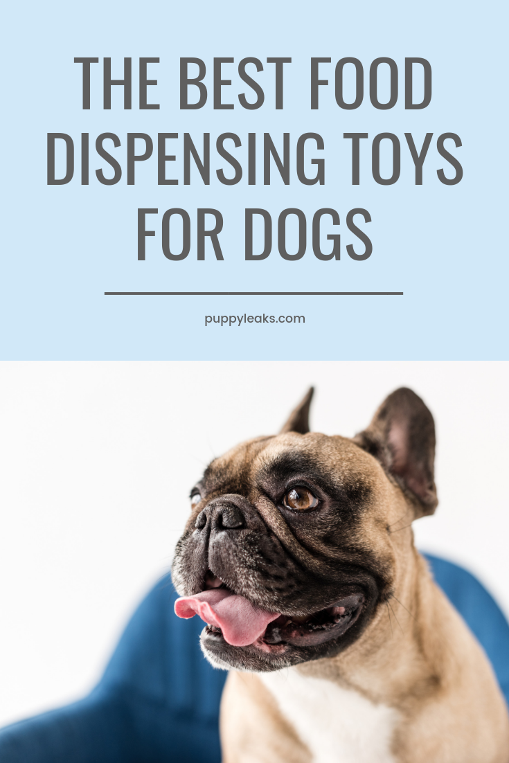 The best food dispensing toys for dogs