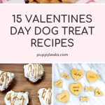 15 Valentine's Day Dog Treat Recipes