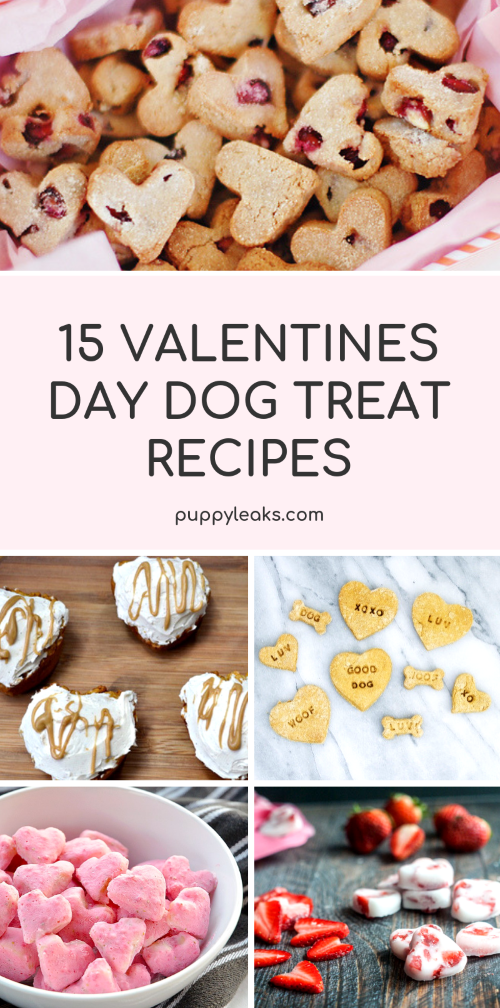 15 Valentine's Day Dog Treat Recipes