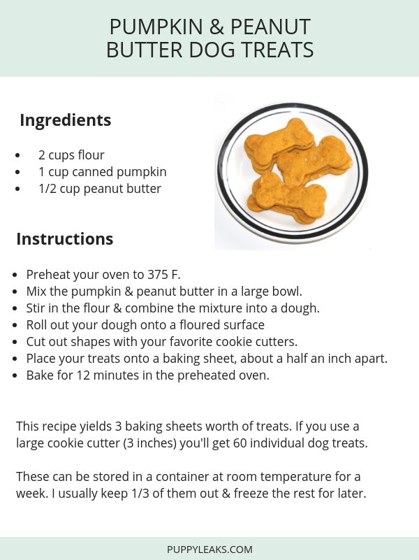 Pumpkin & Peanut Butter Dog Treat Recipe