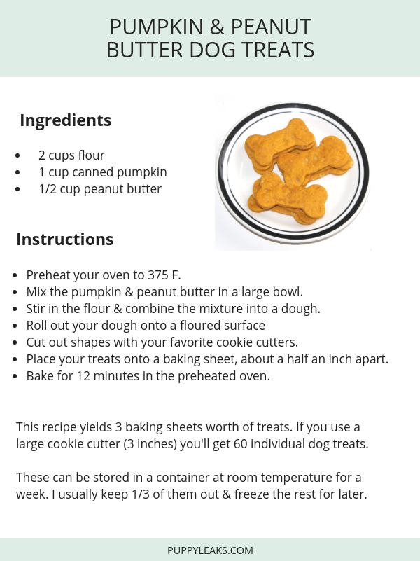 peanut butter pumpkin dog treat recipe