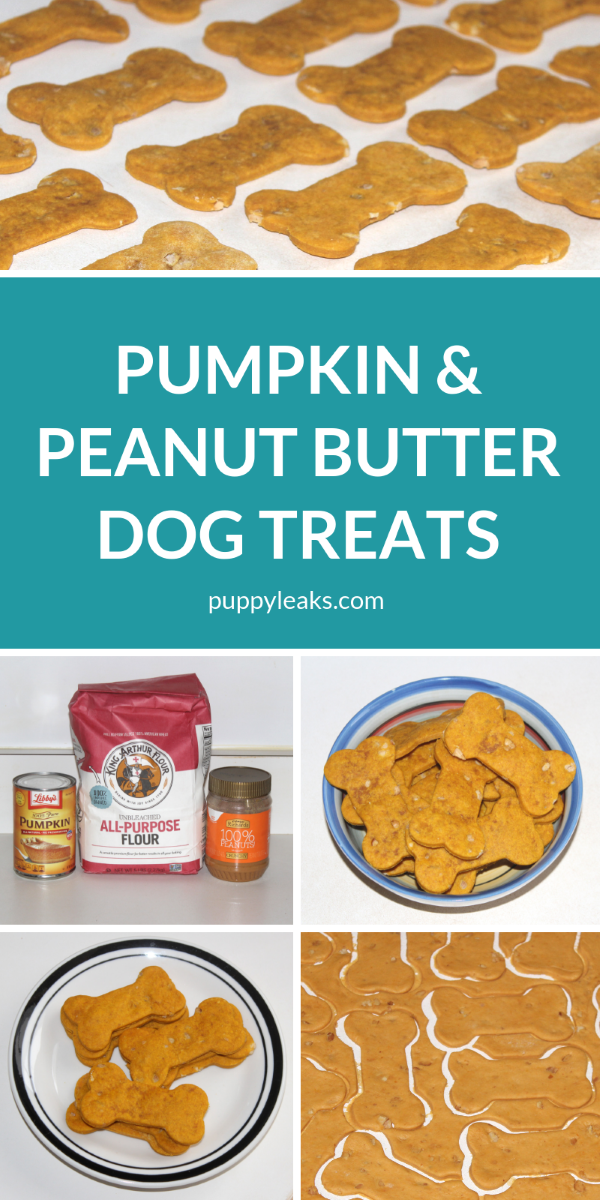 Looking for a simple dog treat recipe? Check out these homemade pumpkin & peanut butter dog treats. You just need flour, peanut butter & some canned pumpkin to make these simple dog treats. They're a favorite of mine because they're simple to make and quick to bake. Homemade Pumpkin & Peanut Butter Dog Treats