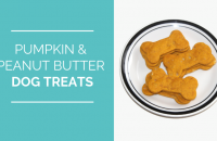 Pumpkin & Peanut Butter Dog Treats