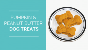 Pumpkin & Peanut Butter Dog Treats