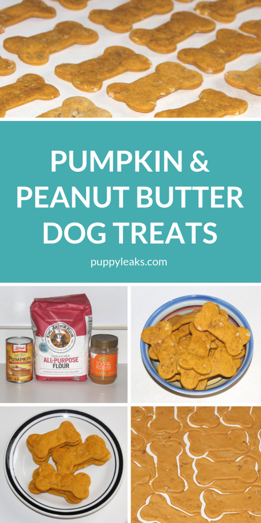 Easy Pumpkin & Peanut Butter Dog Treats Puppy Leaks