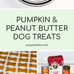 Peanut butter & pumpkin dog treats