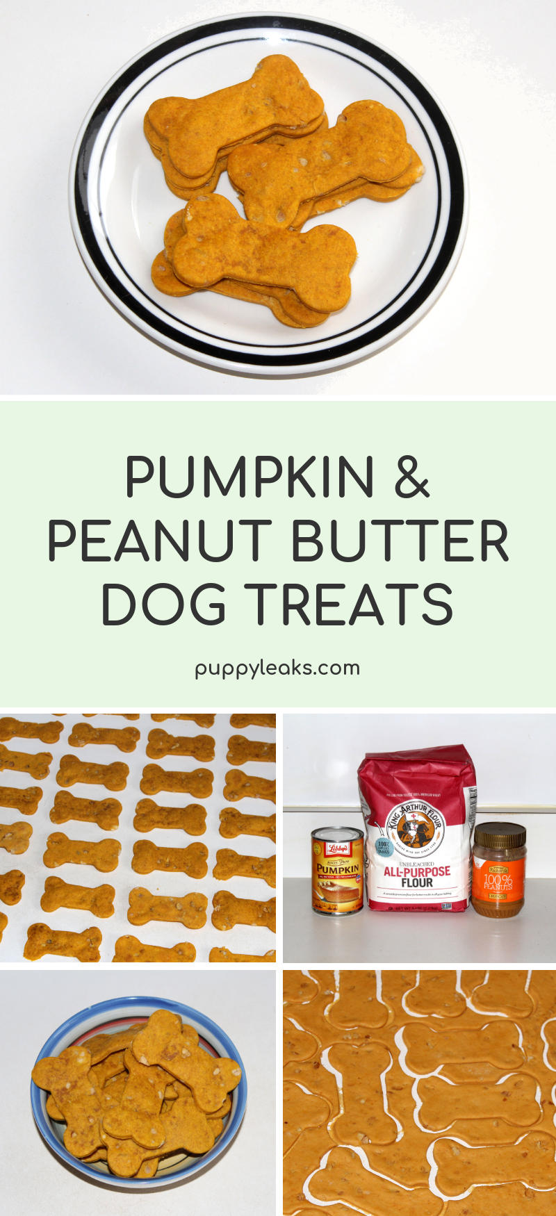 easy-pumpkin-peanut-butter-dog-treats-puppy-leaks