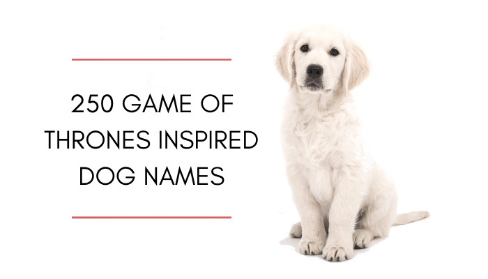 350 Game of Thrones Inspired Dog Names