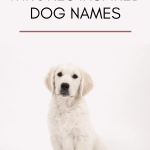 Game of Thrones Inspired Dog Names